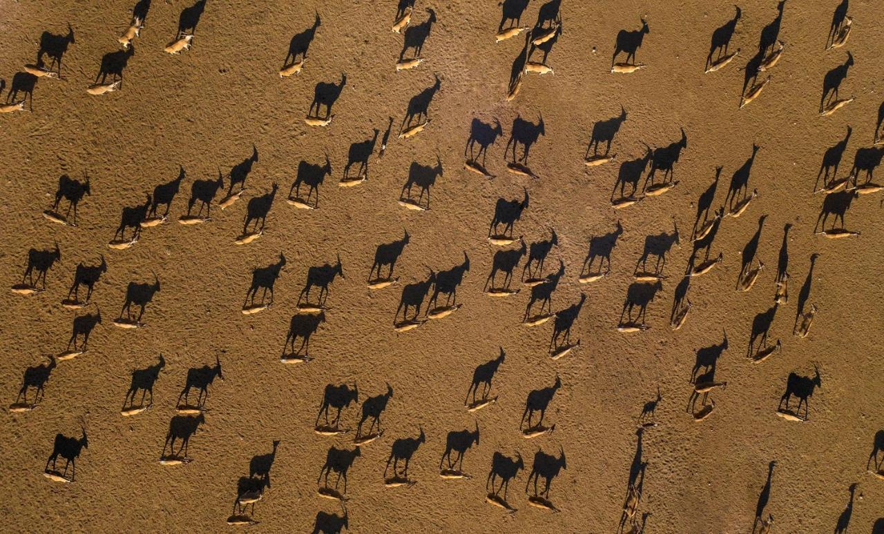 منتجع فلل اليم أنانتارا في جزيرة صير بني ياس دعسه المظهر الخارجي الصورة